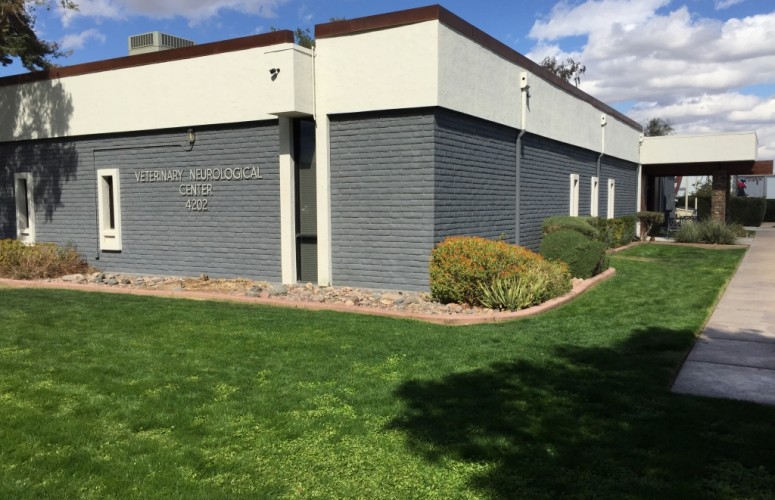 THE VETERINARY NEUROLOGICAL CENTER IN PHOENIX